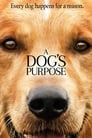 5-A Dog's Purpose
