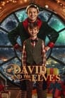 David and the Elves