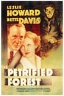 2-The Petrified Forest