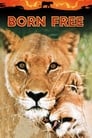 6-Born Free