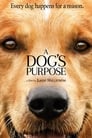 4-A Dog's Purpose