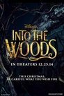 3-Into the Woods