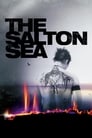 Imagen The Salton Sea