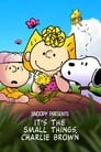 Snoopy Presents: It's the Small Things, Charlie Brown