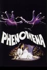 1-Phenomena