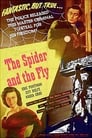 The Spider and the Fly