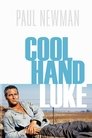 5-Cool Hand Luke
