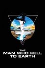 9-The Man Who Fell to Earth
