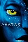 50-Avatar