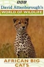 World of Wildlife: African Big Cats