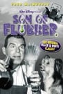 3-Son of Flubber