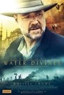 9-The Water Diviner