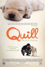 2-Quill:  The Life of a Guide Dog