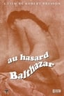 3-Au Hasard Balthazar