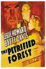 3-The Petrified Forest