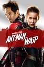 Ant-Man and the Wasp Ant-Man and the Wasp