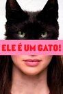 Image Ele é Um Gato!