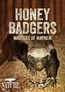 Honey Badgers: Masters of Mayhem