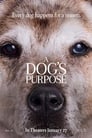 8-A Dog's Purpose