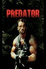 13-Predator