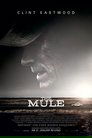 The Mule The Mule