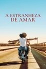 Image A Estranheza de Amar
