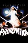 2-Phenomena