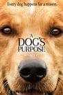 2-A Dog's Purpose