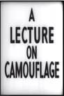 A Lecture on Camouflage