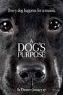 10-A Dog's Purpose