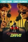 5-License to Drive