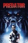 3-Predator