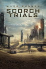 25-Maze Runner: The Scorch Trials