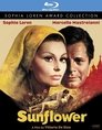 2-Sunflower