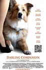 6-Darling Companion