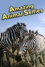 Amazing Animal Selfies