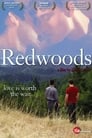 0-Redwoods