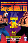 WCW SuperBrawl III