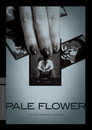 2-Pale Flower