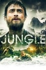 3-Jungle