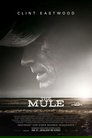 The Mule The Mule