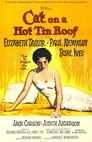 2-Cat on a Hot Tin Roof