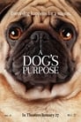 9-A Dog's Purpose
