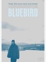 1-Bluebird