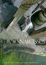 2-Black Narcissus