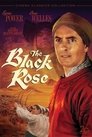 2-The Black Rose