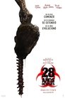 28 años después