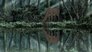 Image claymore-28642-episode-11-season-1.jpg