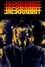 Jackrabbit