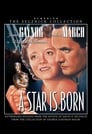 2-A Star Is Born